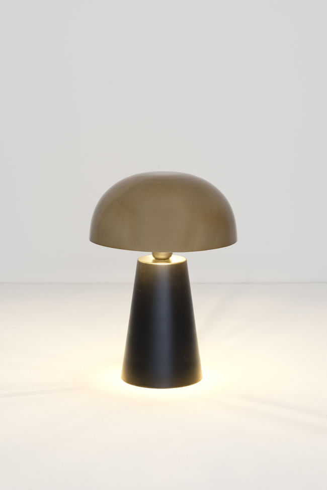 Holländer Leuchten - 424 1202 - Tischleuchte 1-flg. FUNGO